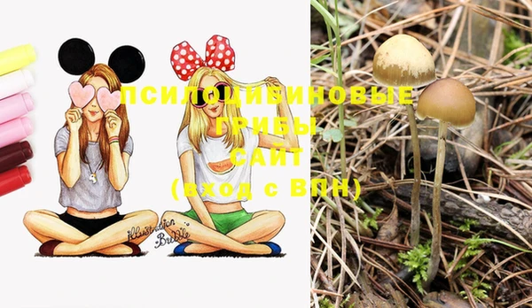 PSILOCYBIN Балахна