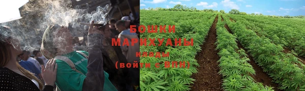 мяу мяу мука Белокуриха