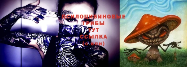мяу мяу мука Белокуриха