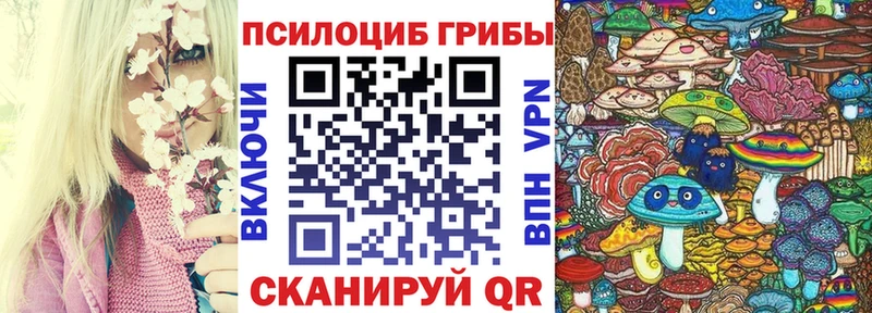 Псилоцибиновые грибы Psilocybine cubensis  Купить  Печоры 